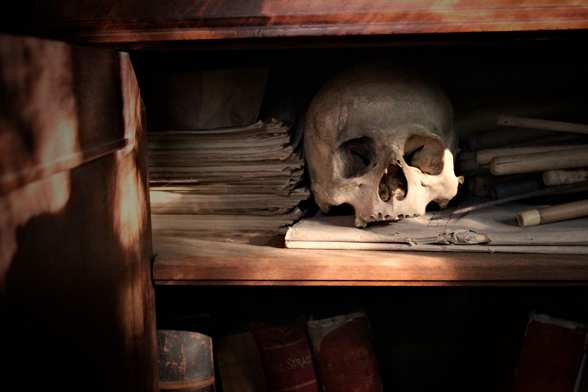 A skull placed among aged paper and books on a shelf, creating a mysterious atmosphere.