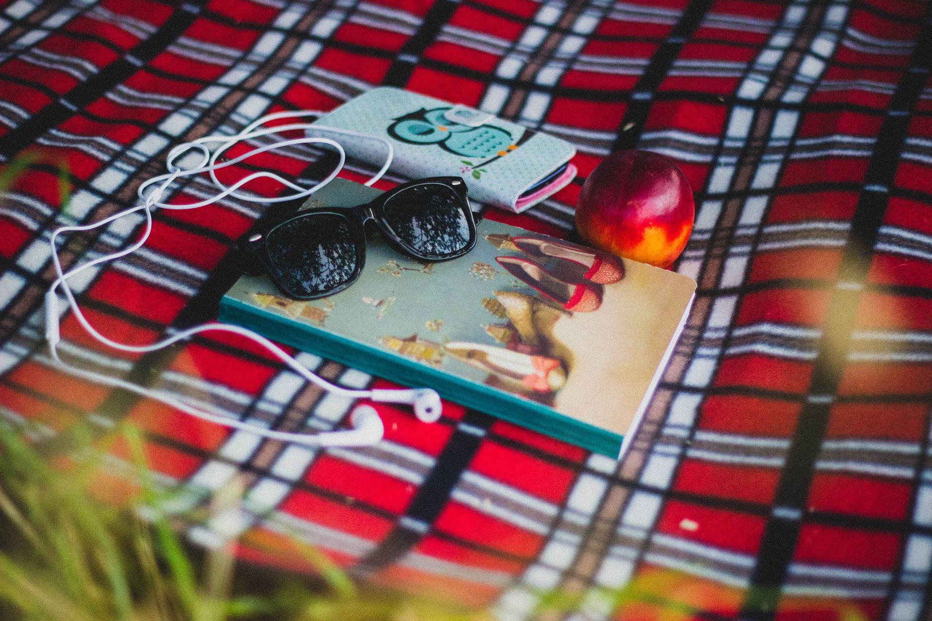 A serene picnic setup with a book, sunglasses, and an apple on a plaid blanket.
