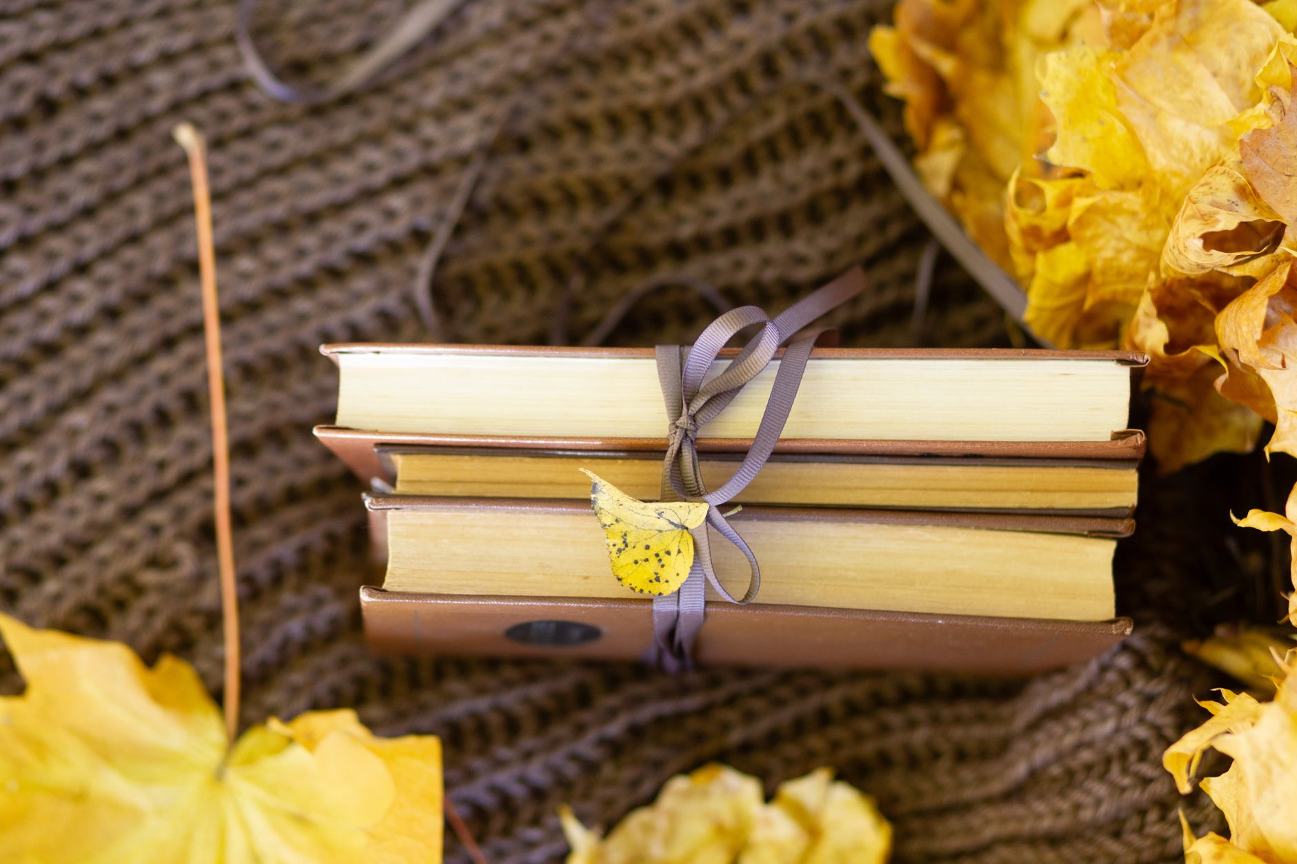 A cozy stack of books tied with a ribbon, surrounded by autumn leaves on a textured blanket.