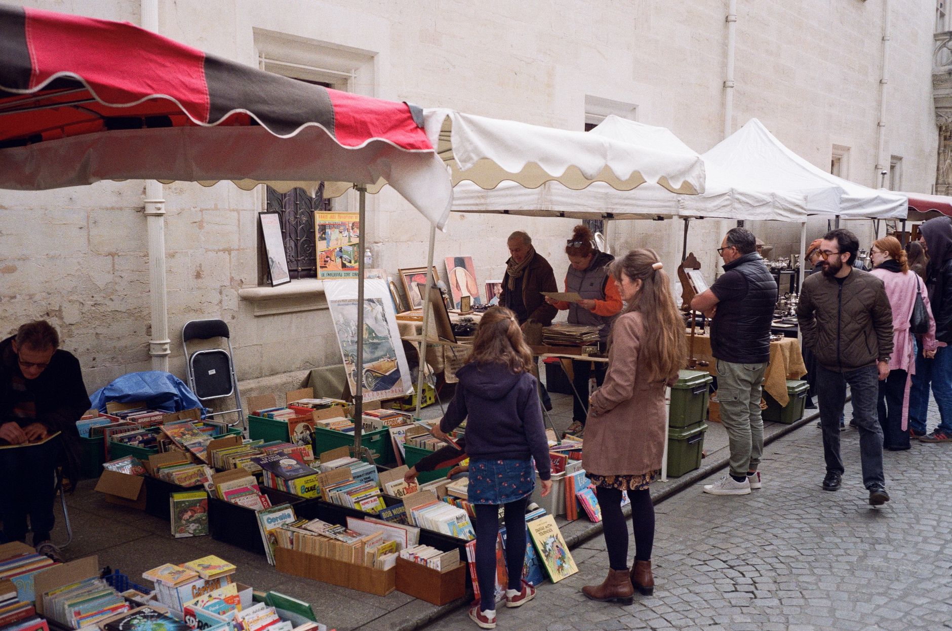 Bustling outdoor book market in Nancy, Grand Est, France.