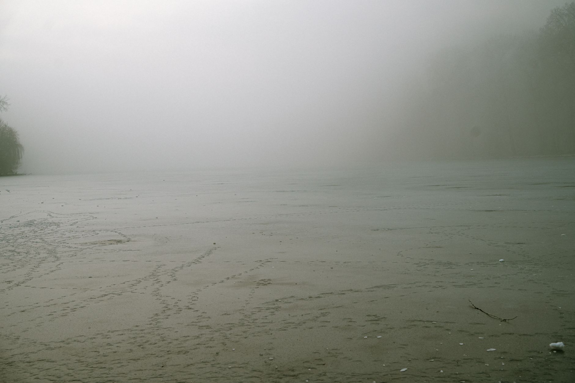 A peaceful and fog-covered frozen lake creates a mysterious, serene winter scene.