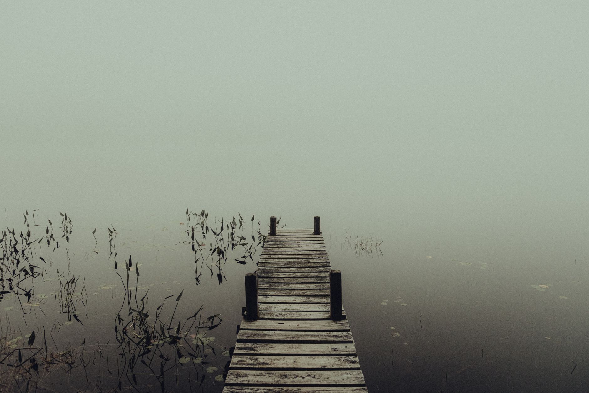 A mysterious foggy lake with an empty wooden pier extending into the mist, creating a haunting atmosphere.