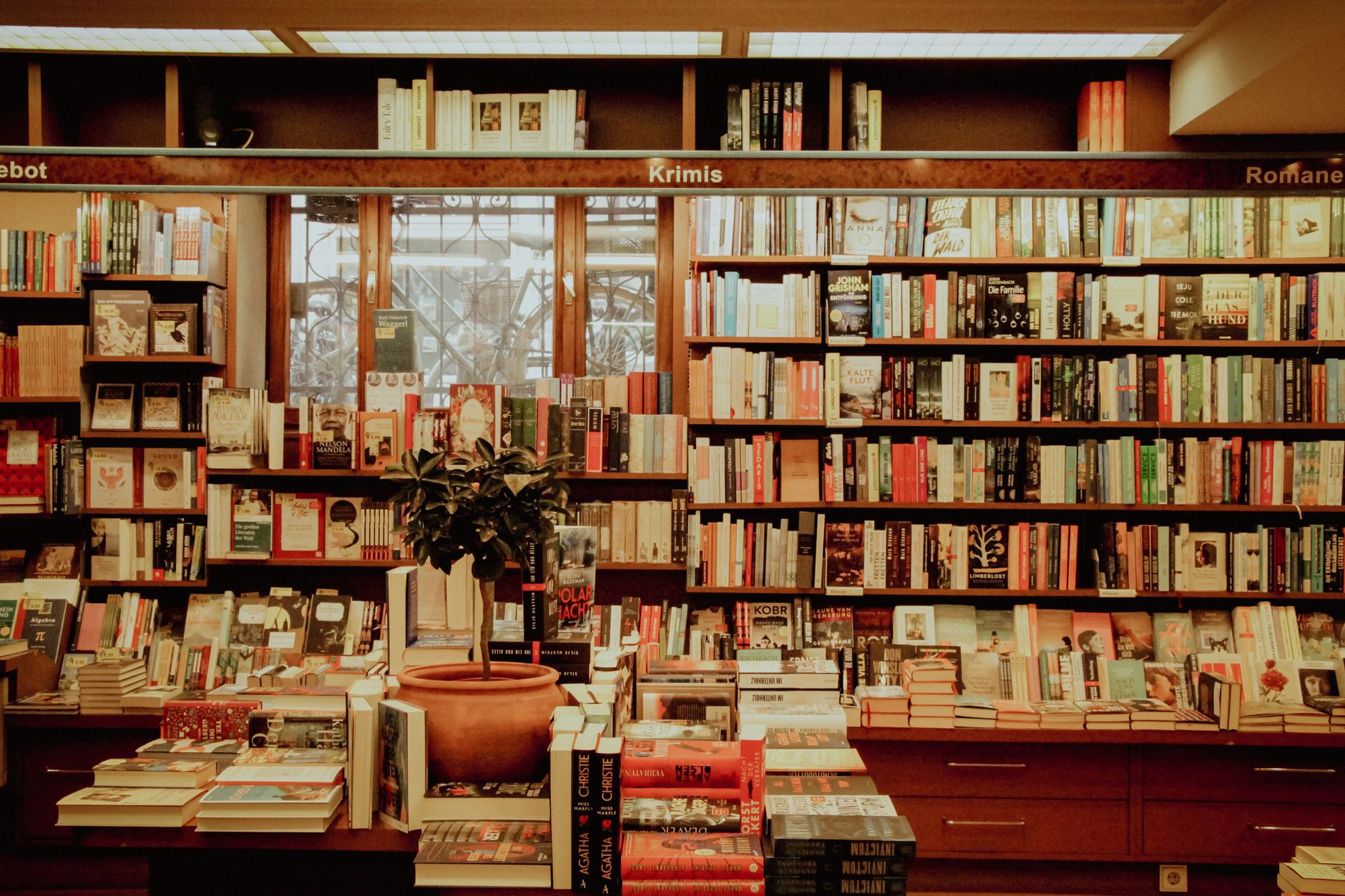 An inviting bookstore interior with shelves full of diverse books, offering a warm literary atmosphere.