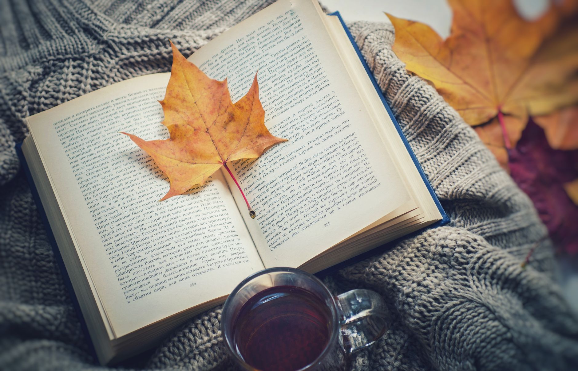 A warm scene featuring an open book, maple leaf, and a cup of tea on a knitted blanket, symbolizing cozy fall reading.
