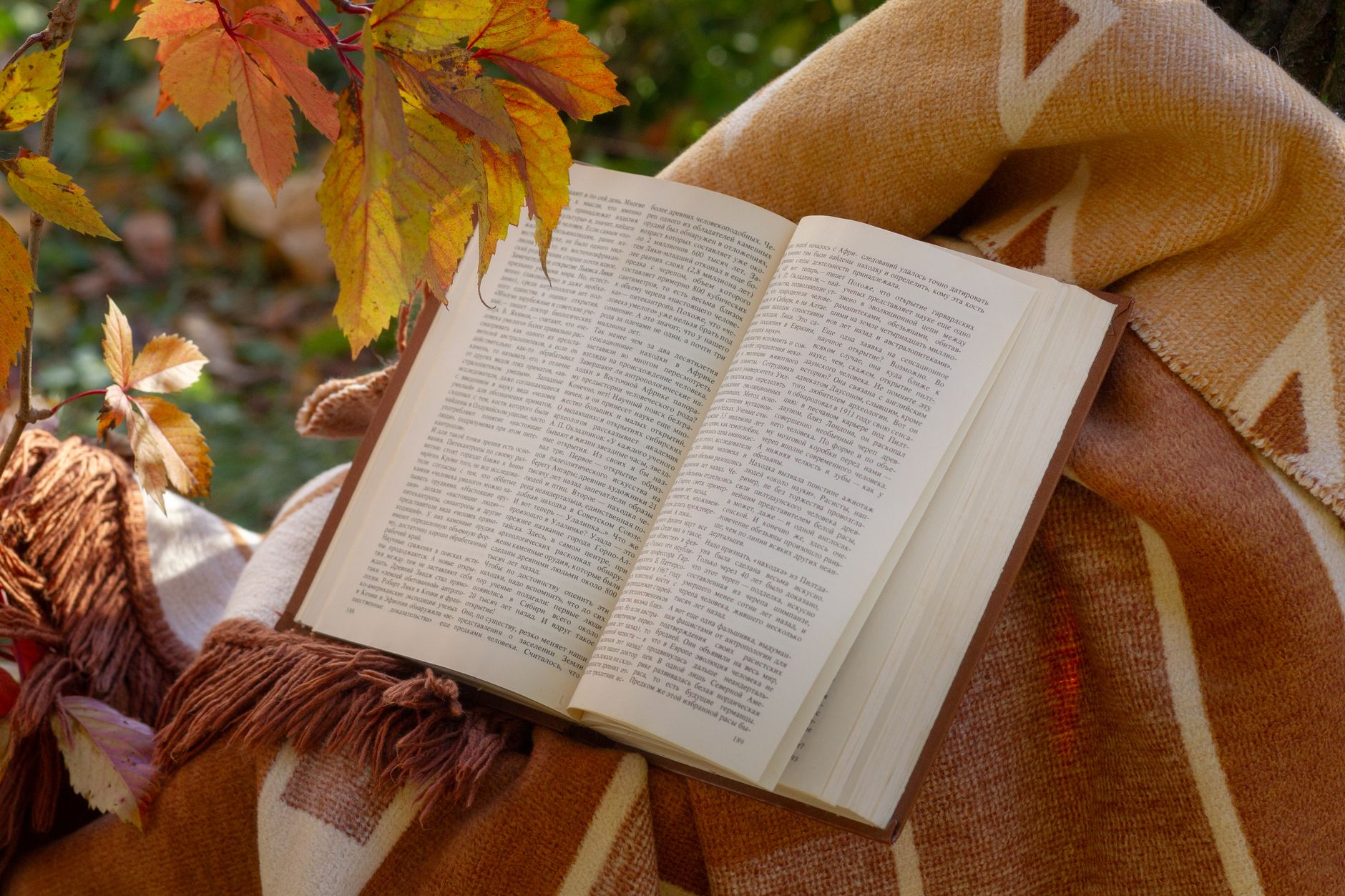 Open book on a blanket surrounded by autumn leaves for a cozy seasonal reading vibe.