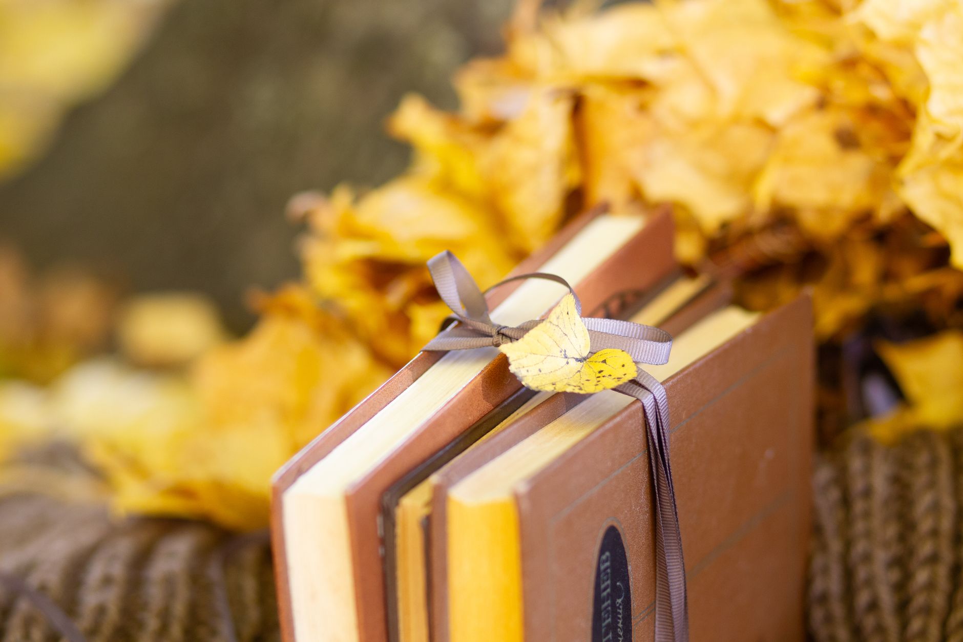 A stack of books tied with ribbon surrounded by vibrant autumn leaves outdoors.